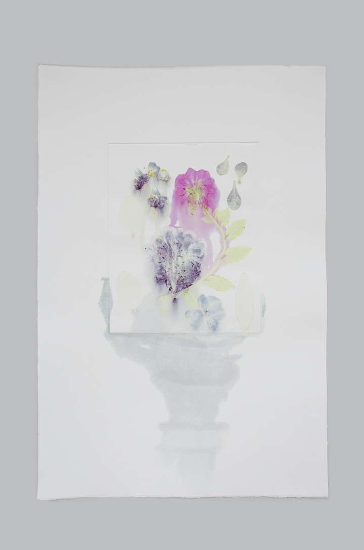 Flower pigments #9 (w:38 h:65 cm)