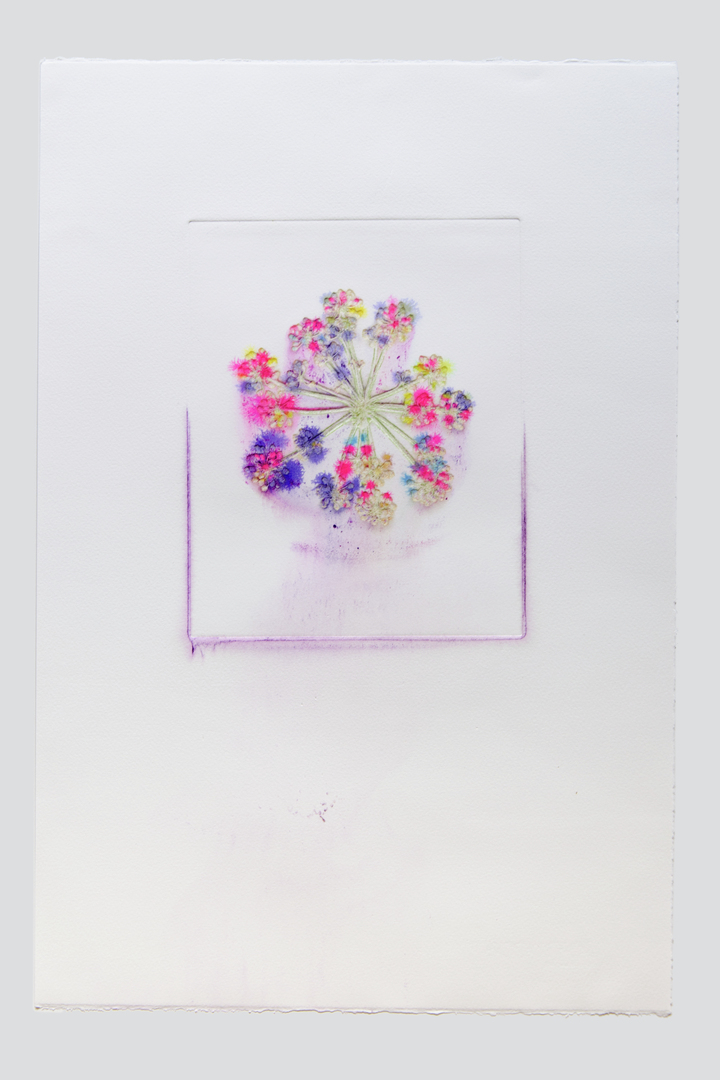 Flower pigments #16 (w:28 h:38 cm)