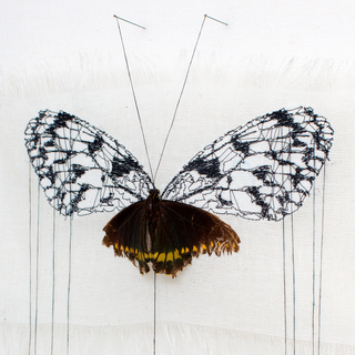 BUTTERFLY - アンコラ NEW Authentic PANDORA Butterfly Stud Silver Earrings