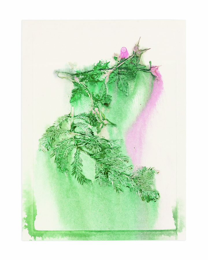Flower pigments #30 (w:25 h:34 cm)