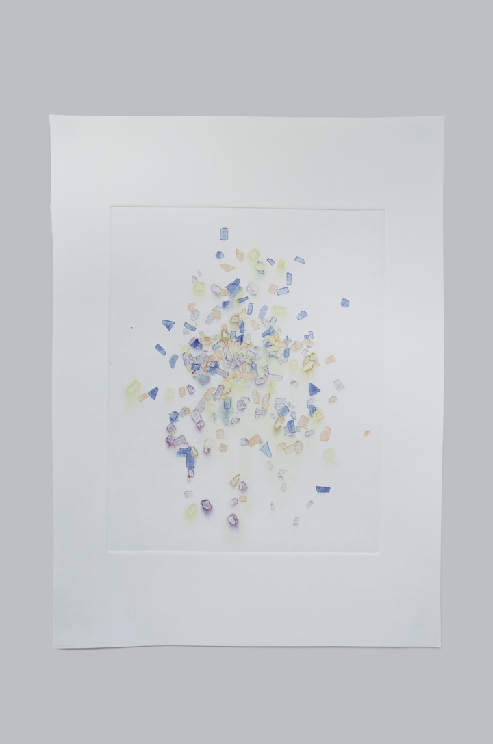 Flower pigments #2 (w:28 h:38 cm)