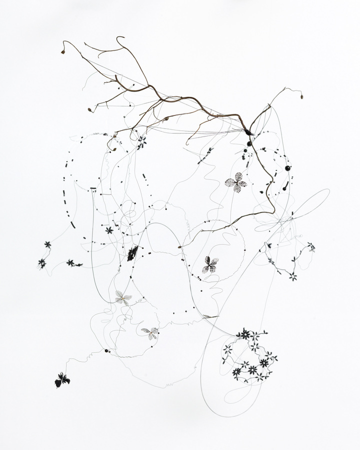 Field 
(w:35 h:35 d:6.5 cm)