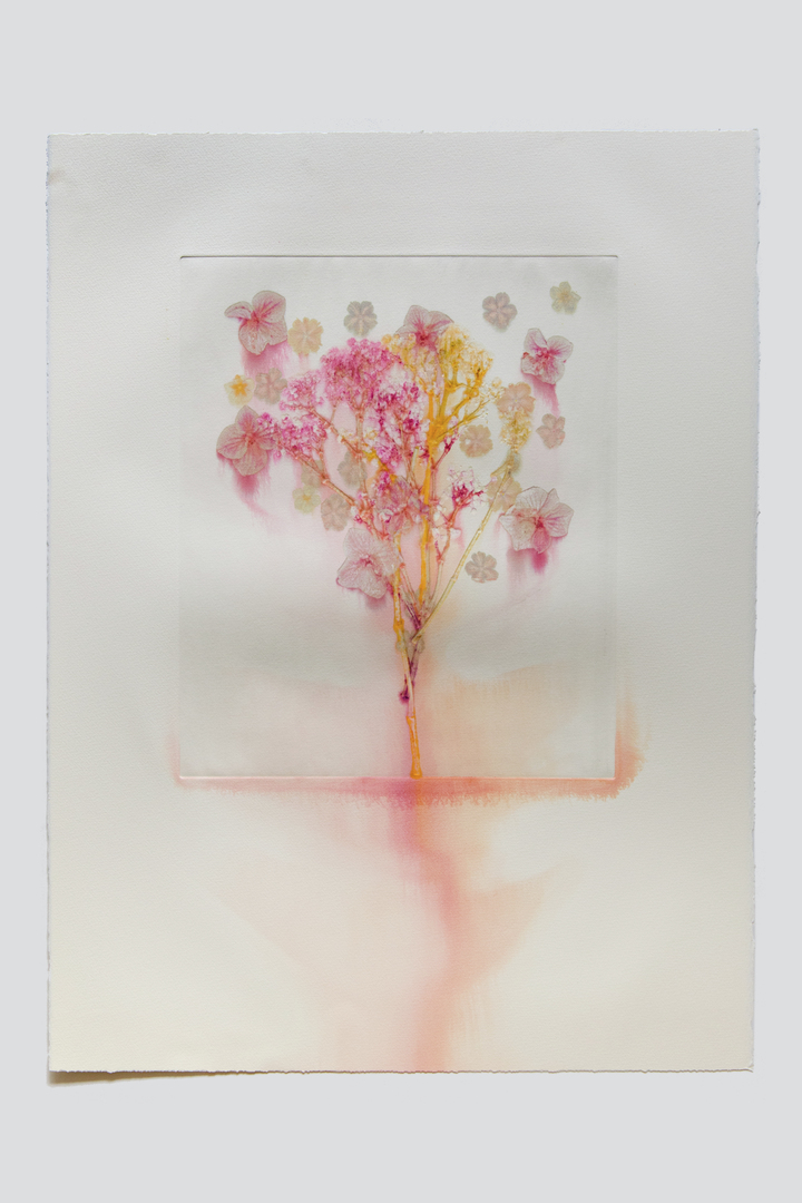 Flower pigments #24 (w:38 h:56 cm)