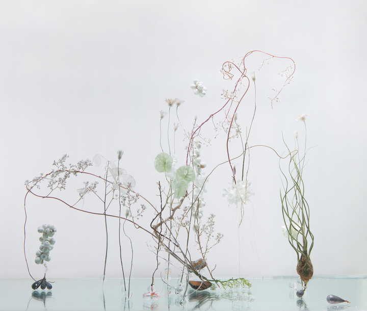 Underwater Ballet scene nr. 10
