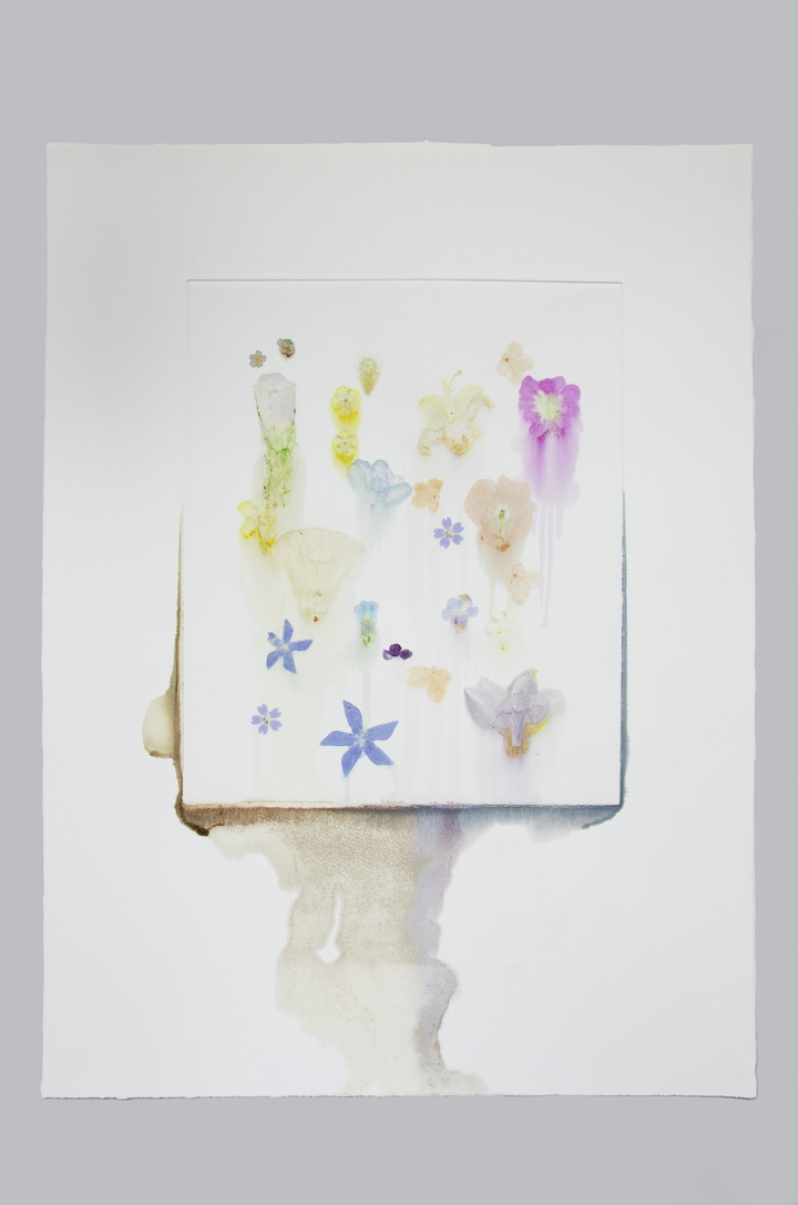 Flower pigments #14 (w:56 h:76 cm)