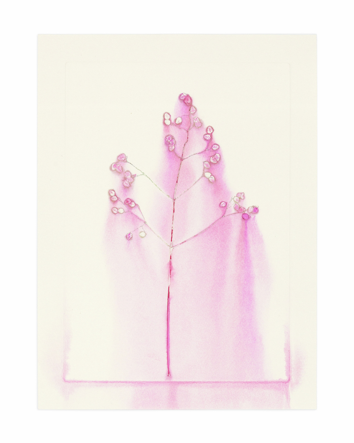 Flower pigments #35 (w:25 h:34 cm)
