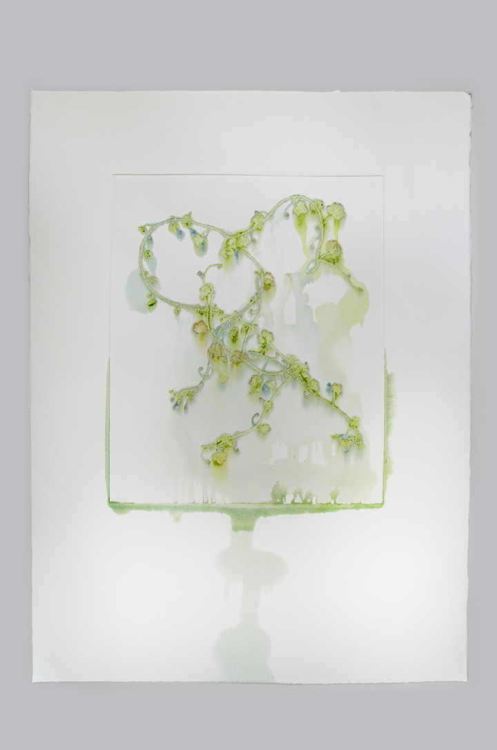 Flower pigments #10 (w:56 h:76 cm)