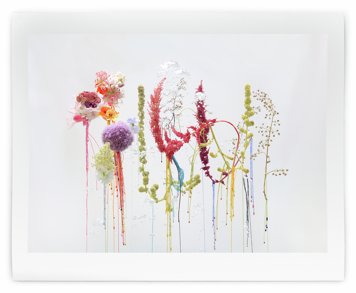 Underwater Ballet scene nr. 21 
w:56 x h:45cm 
Price :€275 (edition of 10)