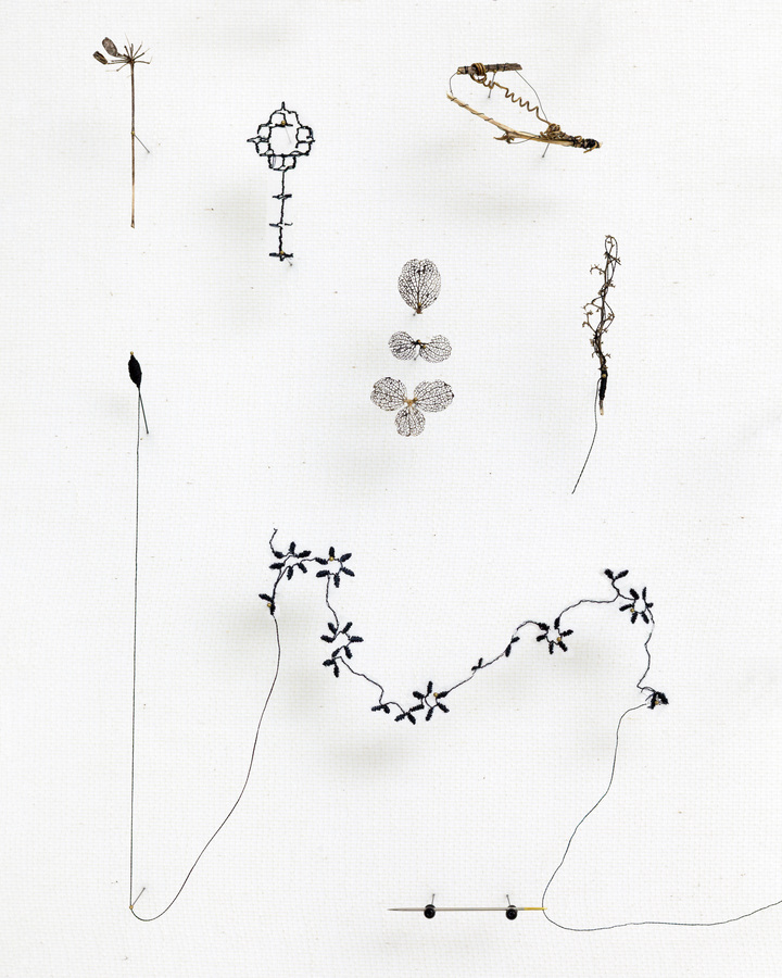 Collecting 
(w:35 h:45 d:6.5 cm)