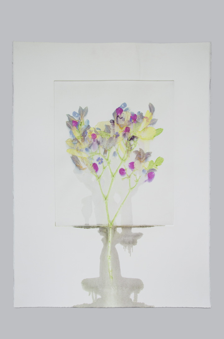 Flower pigments #13 (w:56 h:76 cm)