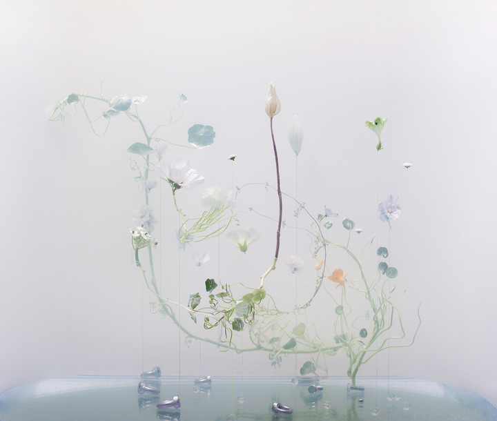Underwater Ballet scene nr. 7

