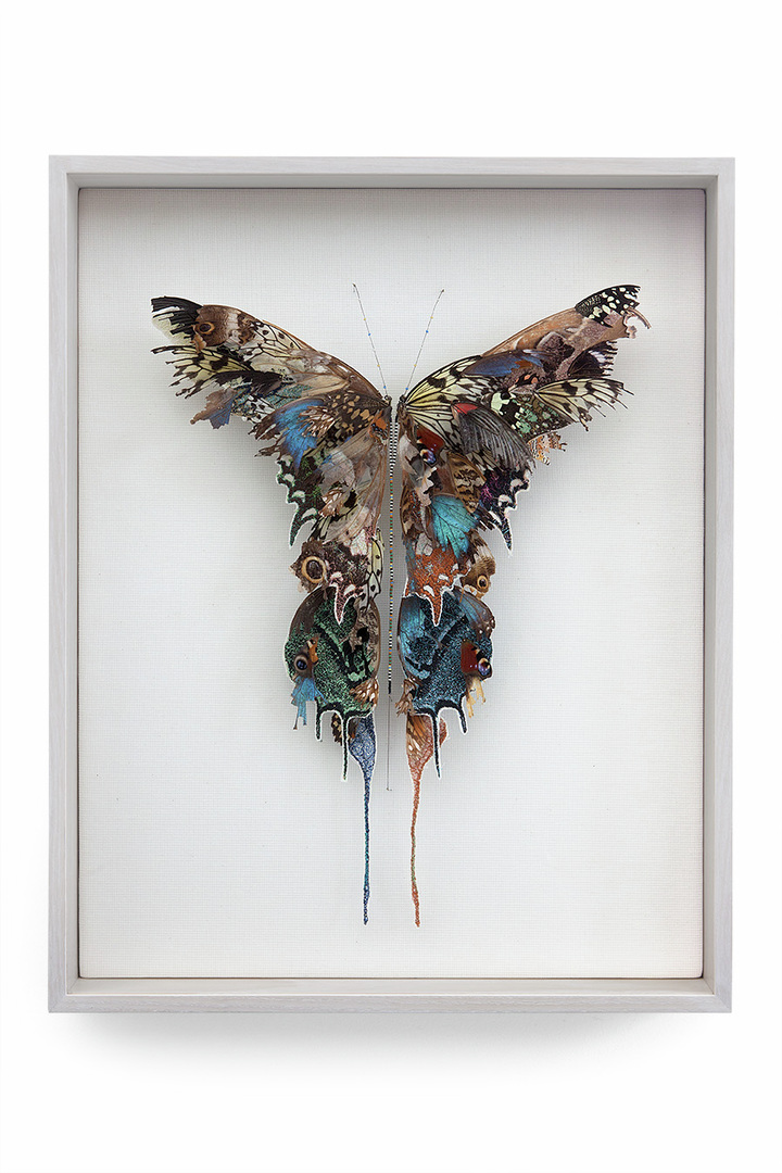 **Two butterflies became one**  
A commissioned work for a marriage, instead of rings they wanted an artwork. A combination of real butterflies and embroidered wings. (w:40 h:50 d:5.5cm)