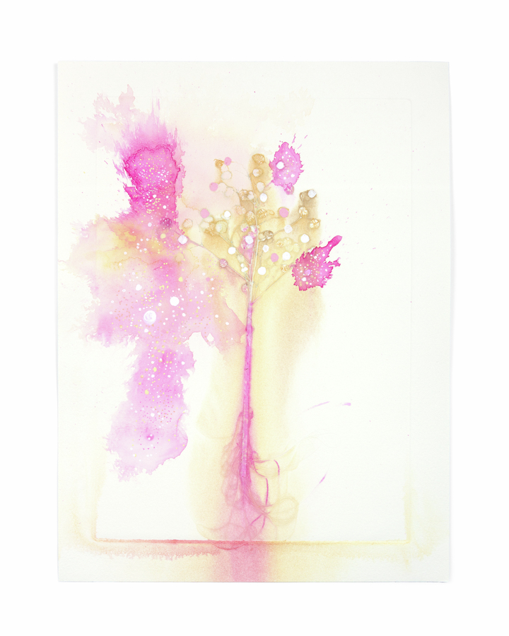 Flower Pigments Reconstructed nr.6 
(w:25 h:34 cm)