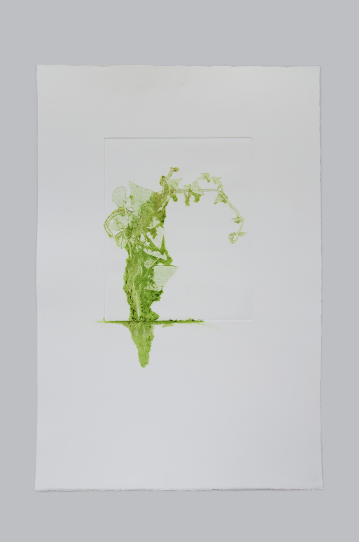 Flower pigments #5 (w:38 h:56 cm)