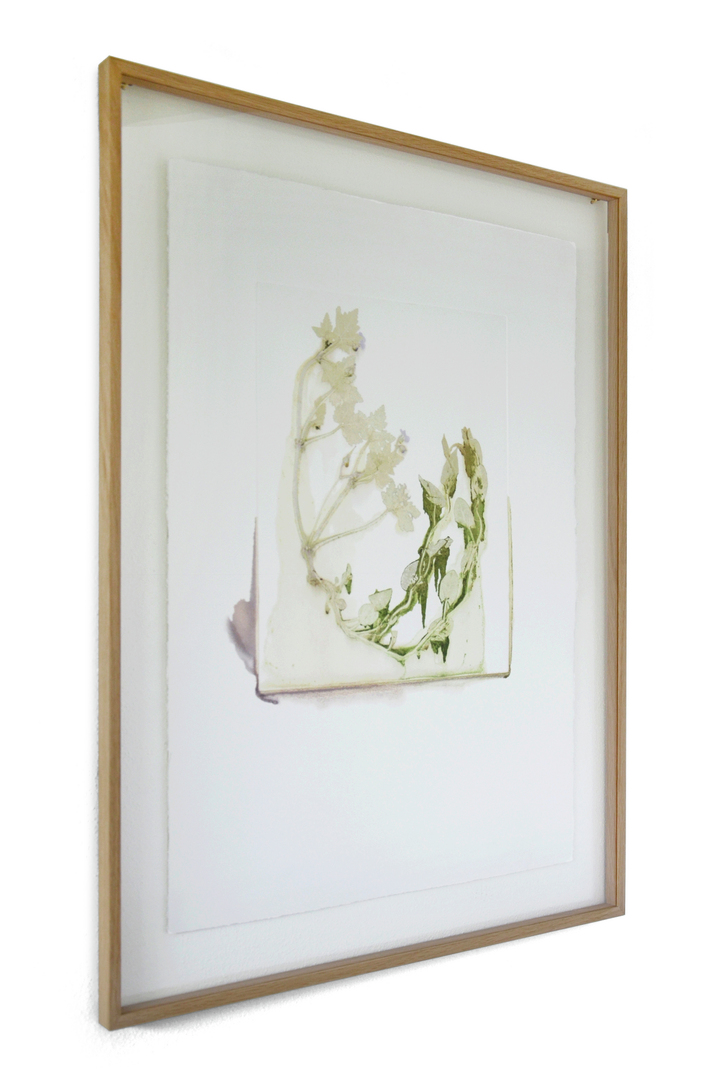 Flower pigments #15 (w:56 h:76 cm)