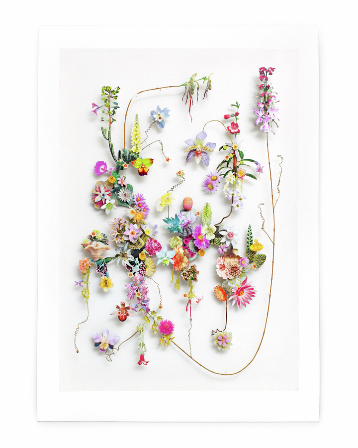Flower Construction nr. 146 
w:46 x h:65 cm 
Price :€200 (edition of 100)