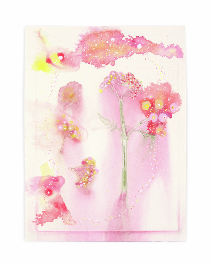 Flower Pigments Reconstructed nr.9 
(w:25 h:34 cm)