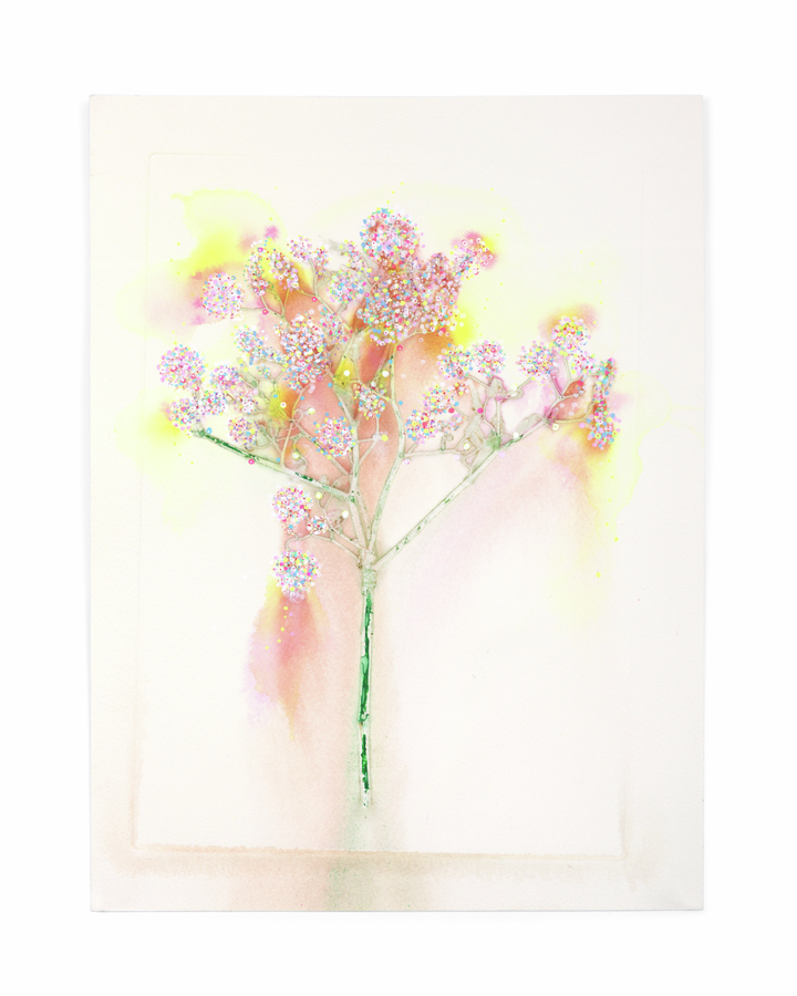 Flower Pigments Reconstructed nr.2 
(w:25 h:34 cm)