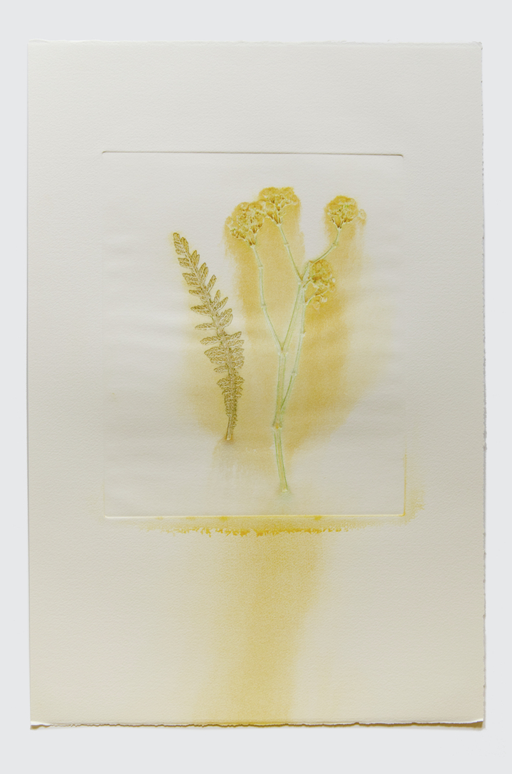 Flower pigments #22 (w:28 h:38 cm)