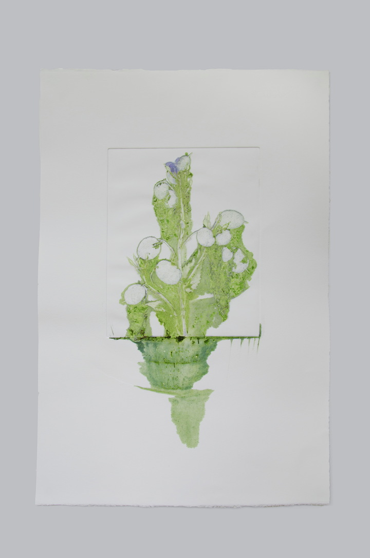Flower pigments #3 (w:38 h:56 cm)