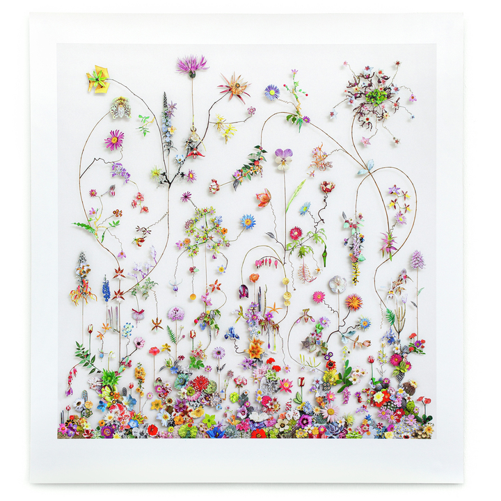 Flower Construction nr. 137  
w:648 x h:700mm 
Price: €250 (edition of 100)