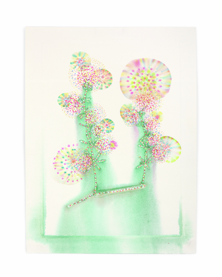 Flower Pigments Reconstructed nr.8 
(w:25 h:34 cm)