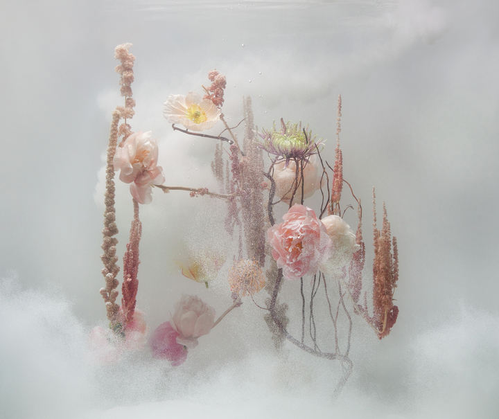 Underwater Ballet scene nr. 15
