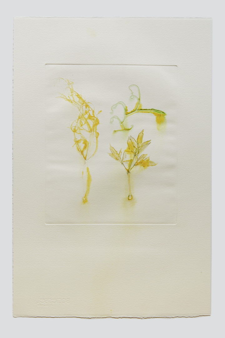 Flower pigments #21 (w:28 h:38 cm)