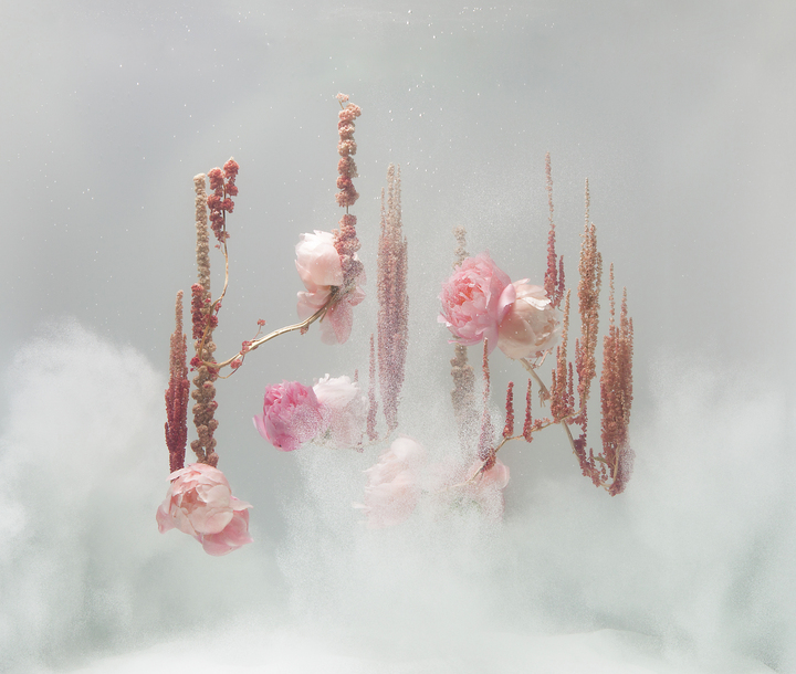 Underwater Ballet scene nr. 13

