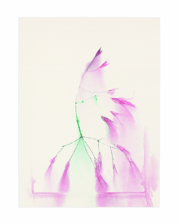 Flower pigments #31 (w:25 h:34 cm)