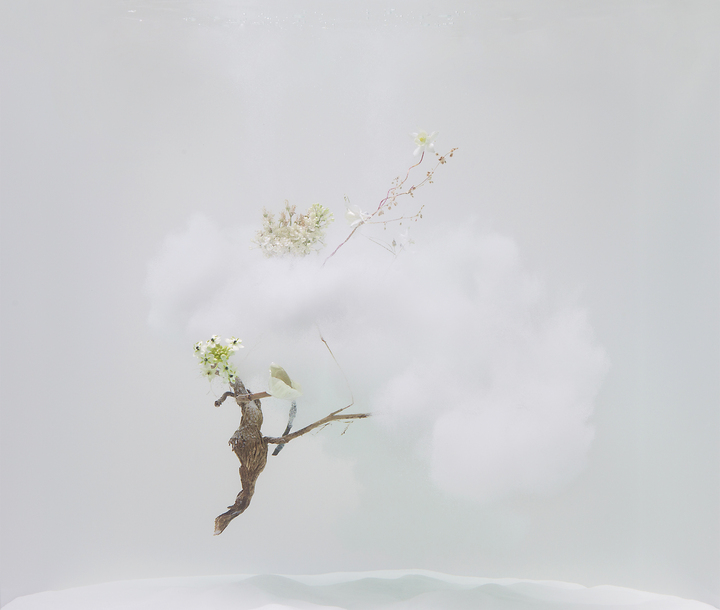 Underwater Ballet scene nr. 2