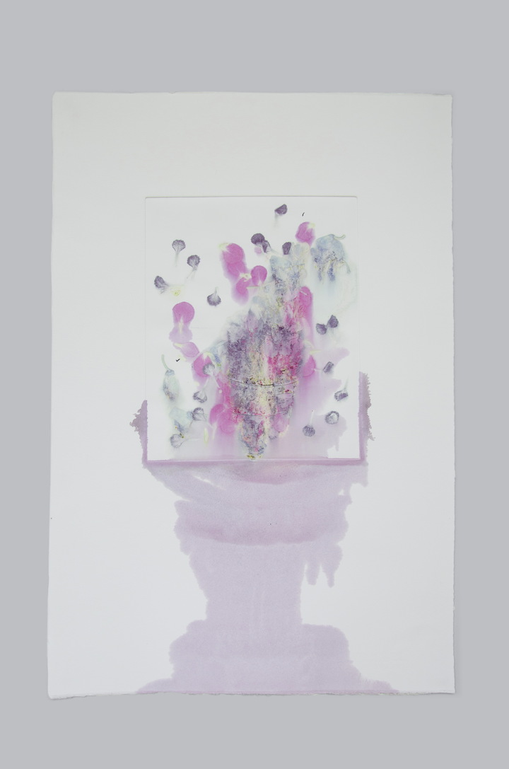 Flower pigments #4 (w:38 h:56 cm)