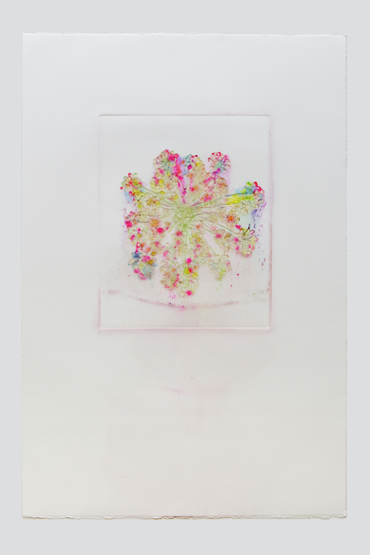 Flower pigments #18 (w:28 h:38 cm)