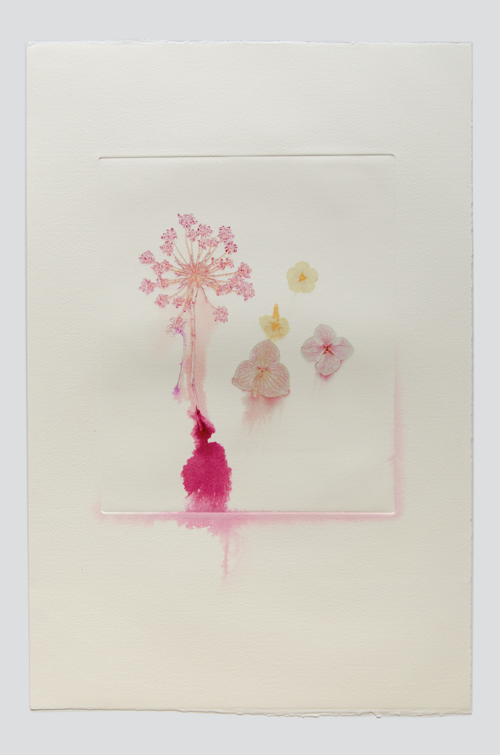 Flower pigments #25 (w:28 h:38 cm)