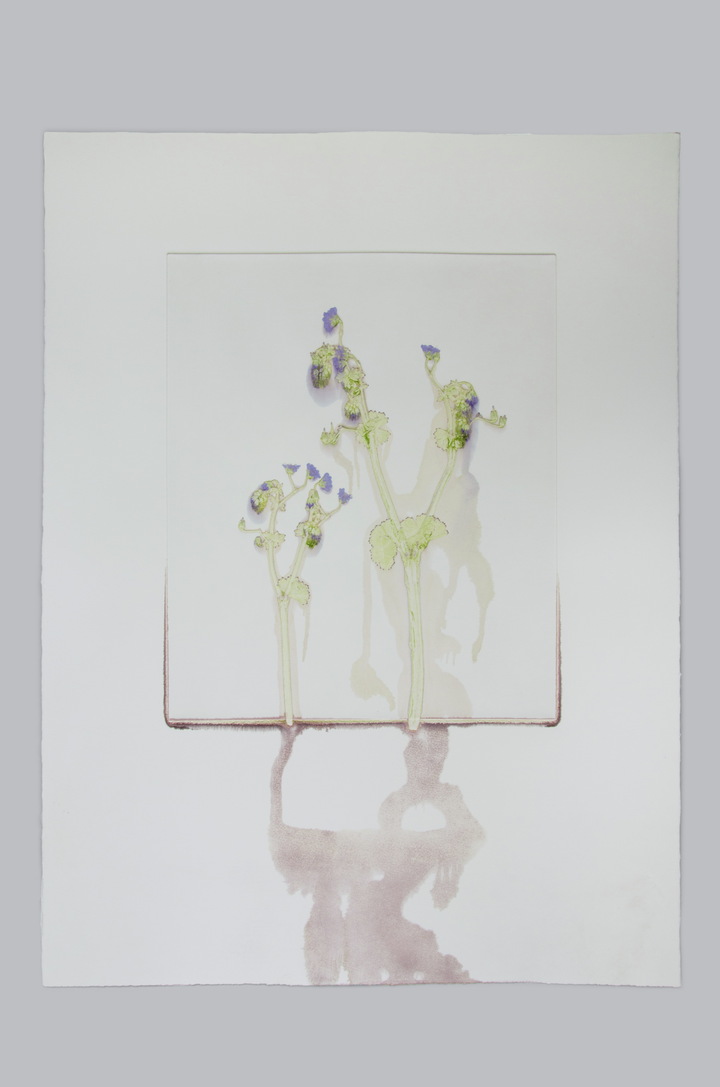 Flower pigments #6 (w:56 h:76 cm)