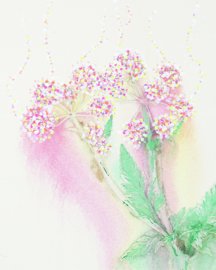 Flower Pigments Reconstructed nr.1 
(w:25 h:34 cm)