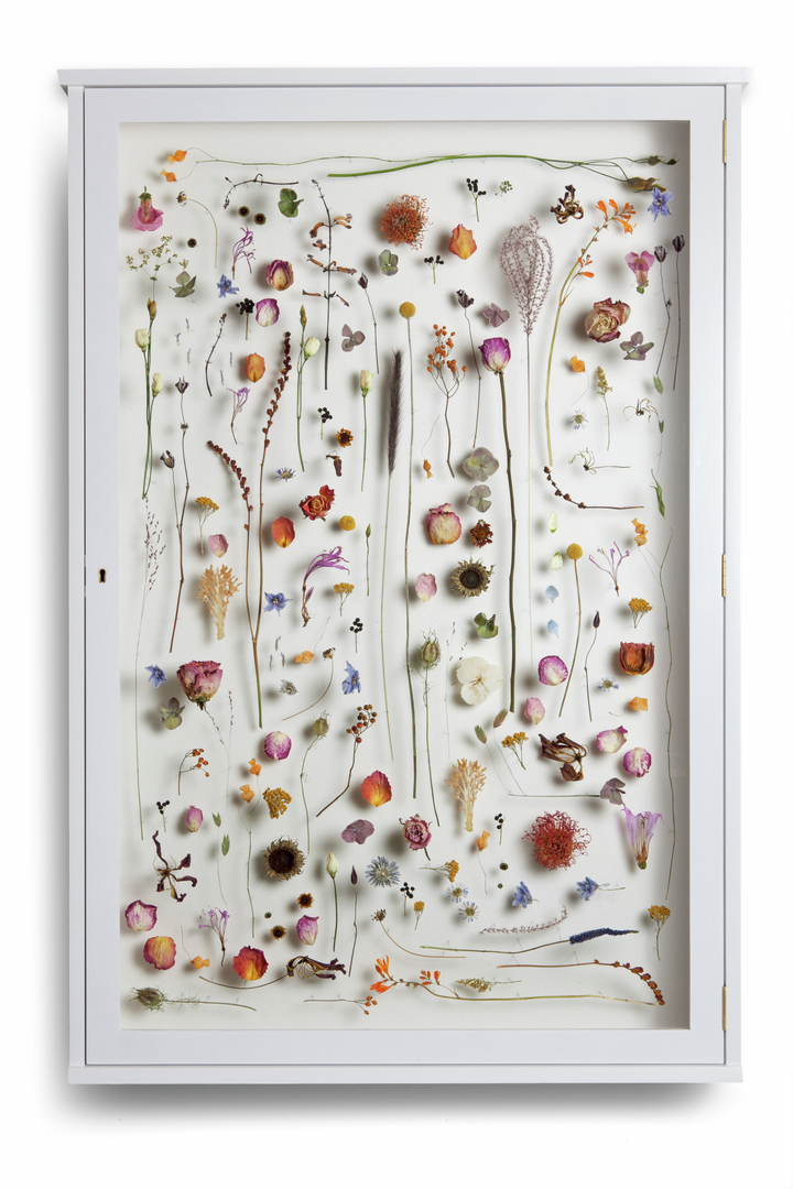 **Cupboard with dried flowers** 
The flowers are from the funeral of a beloved one. (w:84 h:120 d:15 cm) 
(cupboard made by [Vladi Rapaport](http://vladirapaport.nl))