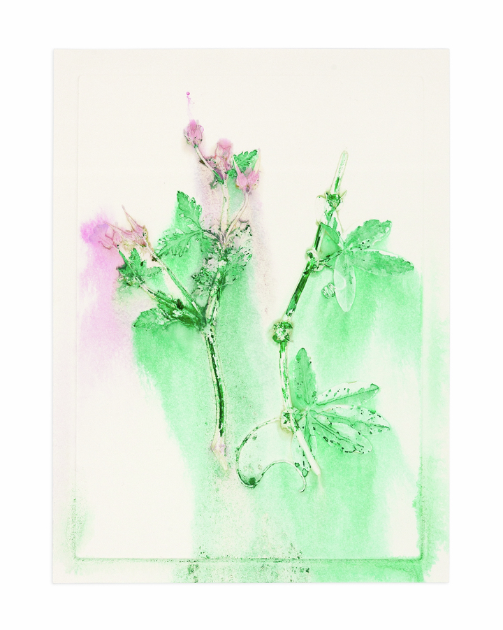 Flower pigments #28 (w:25 h:34 cm)