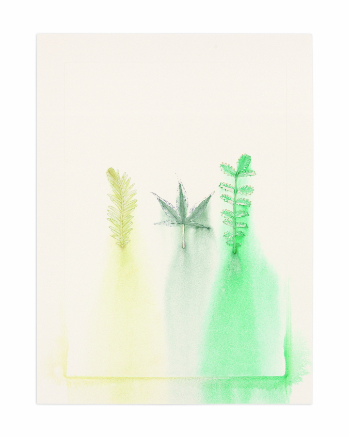 Flower pigments #29 (w:25 h:34 cm)