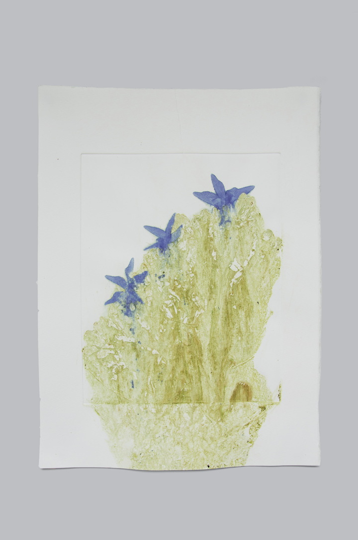 Flower pigments #1 (w:28 h:38 cm)