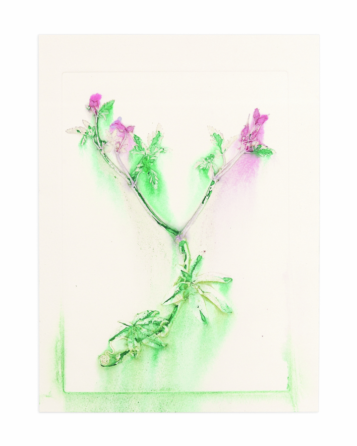 Flower pigments #36 (w:25 h:34 cm)