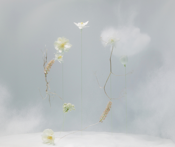 Underwater Ballet scene nr. 1