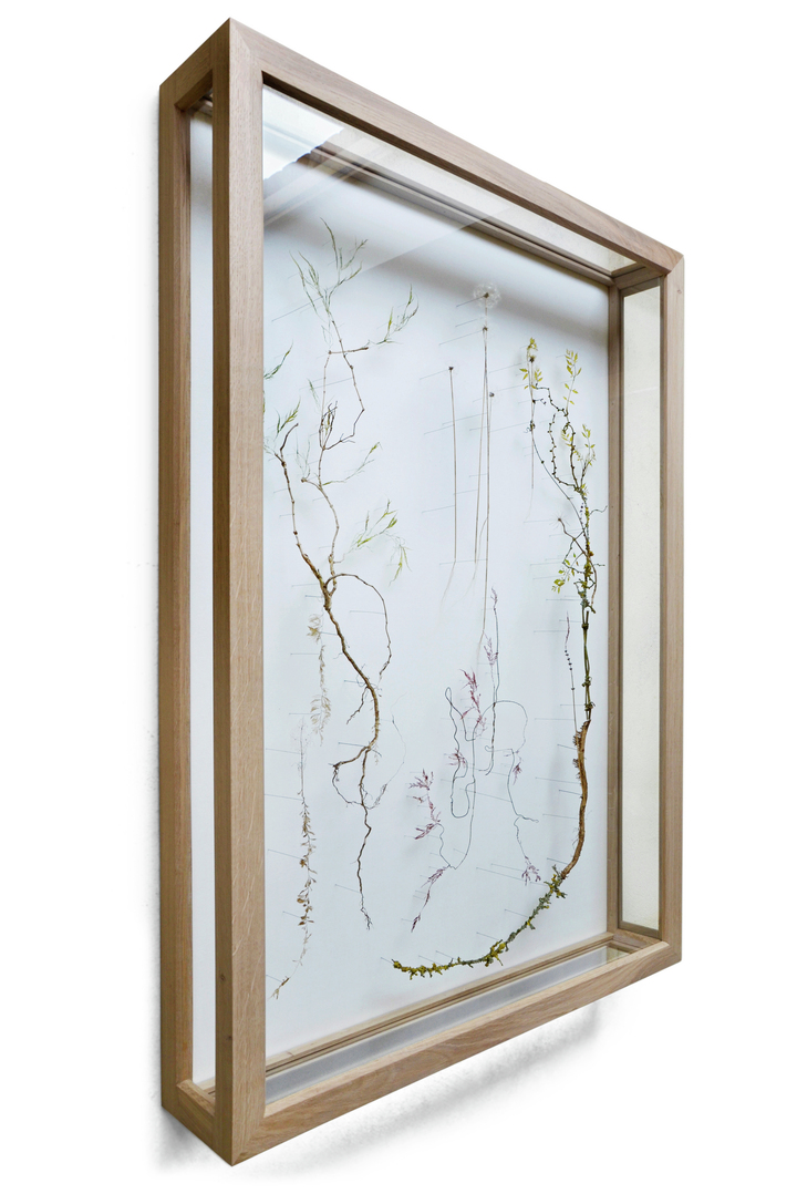 **Swafield** 
A work created from the finds in nature at the surroundings of the village Swafield in east England. (w:85 h:120 d:15 cm) 
(frame made by [Vladi Rapaport](http://vladirapaport.nl))