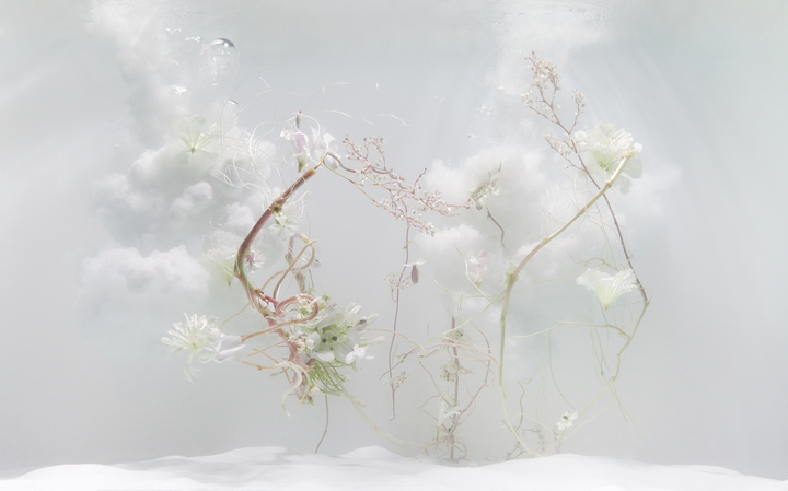 Underwater Ballet scene nr. 4

