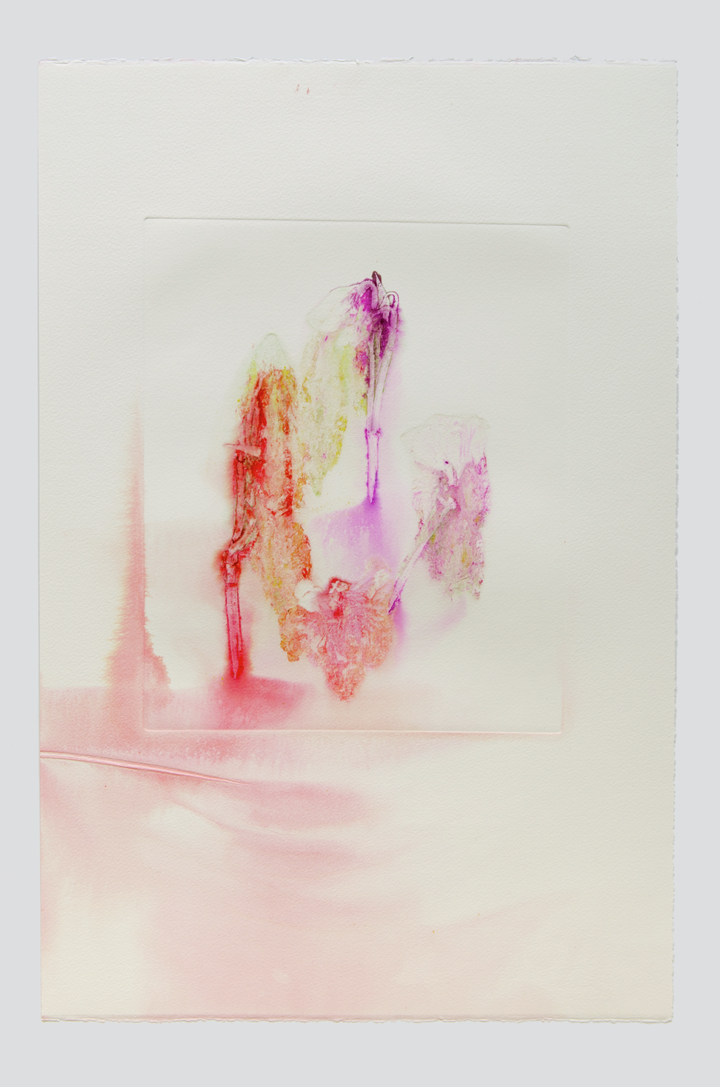 Flower pigments #23 (w:28 h:38 cm)